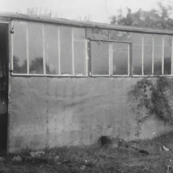 shed-remini-enh.jpg